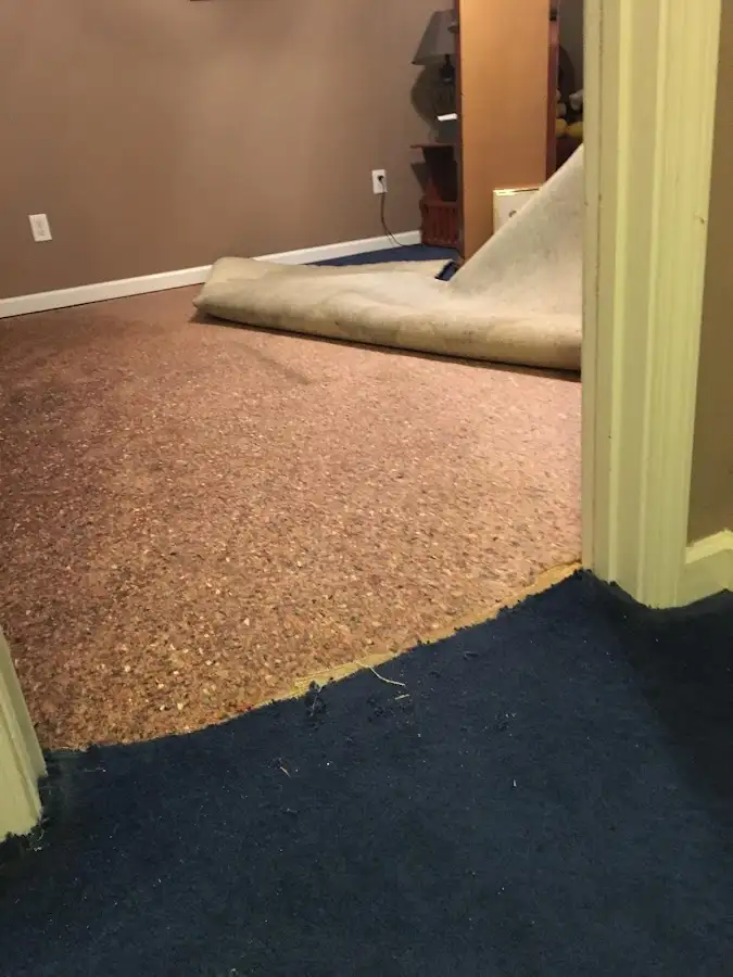 Carpet pad removal revealing water damage during Drying & Dehumidification in Rockwood