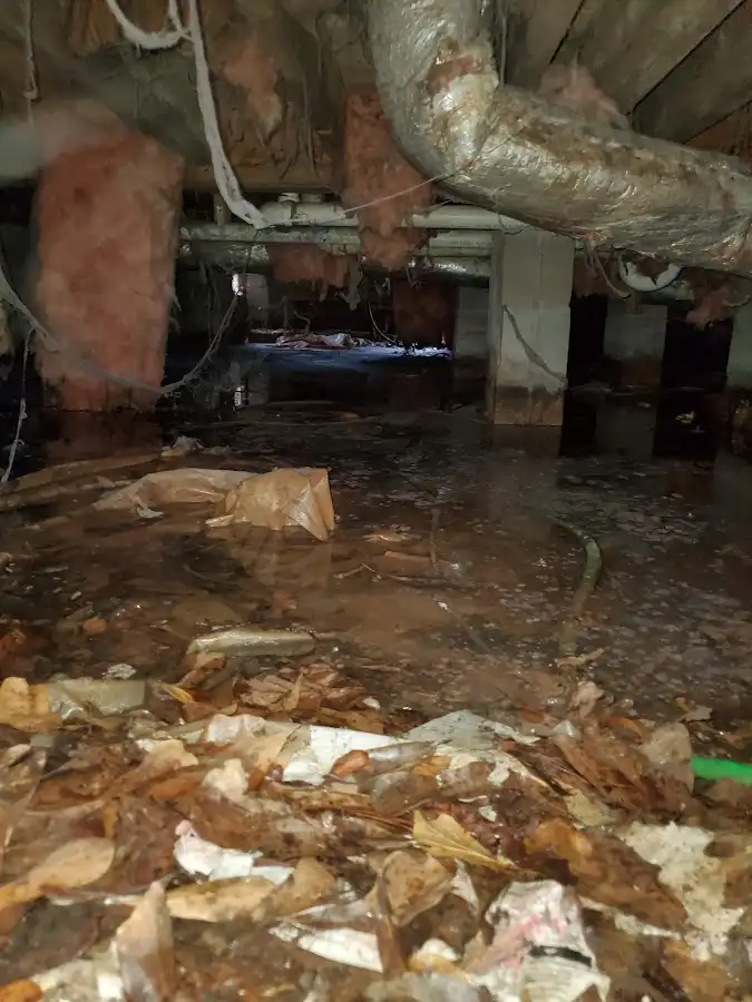 Crawl space flood assessment for Leak Detection & Repair in Rockwood